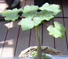 060504-2.jpg
